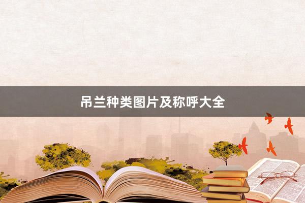 吊兰种类图片及称呼大全