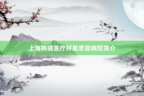 上海韩镜医疗好意思容病院简介