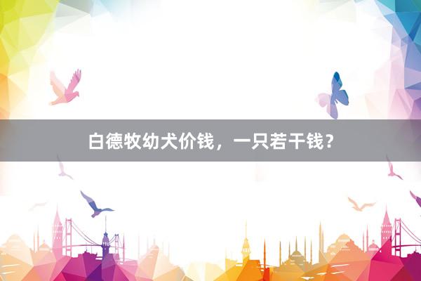 白德牧幼犬价钱,一只若干钱?