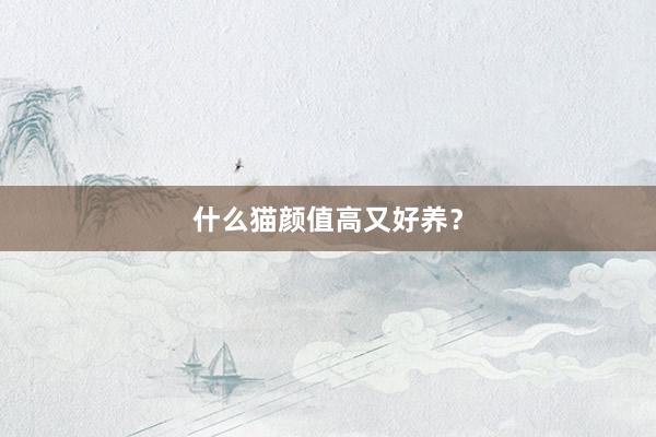 什么猫颜值高又好养？